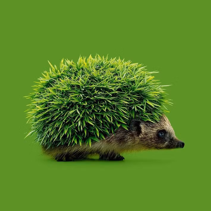 Để sáng tạo, Randy sử dụng Photoshop. Theo nhà thiết kế, thông qua Photoshop, anh có thể chia sẻ sự sáng tạo không giới hạn của mình với tất cả mọi người trên thế người.