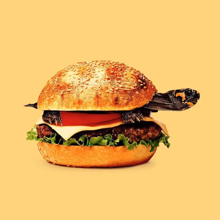 Kết hợp hình ảnh chú rùa nhỏ và chiếc bánh hamburger, nghệ sĩ Randy khiến người xem vô cùng thích thú.