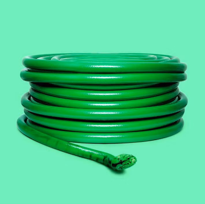 Cuộn dây ống nước bỗng chốc hóa hình thành rắn lục cực nguy hiểm.