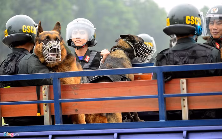 Từng tham gia phá nhiều chuyên án ma túy, cờ bạc, bắt cóc giải cứu con tin, cảnh sát đặc nhiệm được đánh giá là lực lượng thiện chiến, tinh nhuệ với đầy đủ kỹ năng chiến đấu.