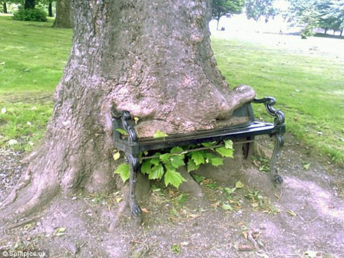 Người qua đường gặp khó khăn khi ngồi trên chiếc ghế này.