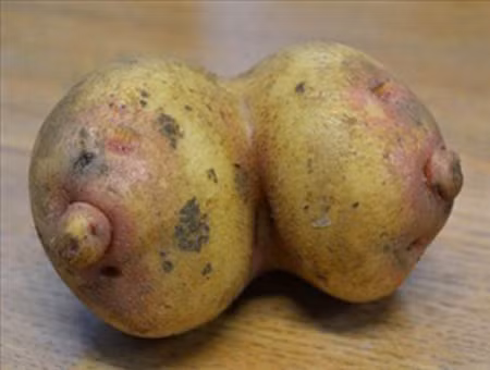 Đừng có nghĩ bậy...à nha.