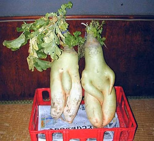 Tôi để ảnh đây và không nói gì thêm.