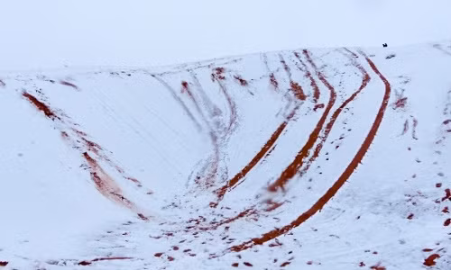 Ngày 5/2, thị trấn Ain Sefra ở tây bắc Algeria, nơi được biết đến với tên gọi “cửa ngõ vào sa mạc Sahara” - sa mạc nóng nhất hành tinh - bị phủ tuyết trắng xóa. Tuy nhiên, đây không phải là lần đầu tiên tuyết rơi tại sa mạc Sahara, nơi có nhiệt độ cao hơn 40 độ C vào mùa hè.