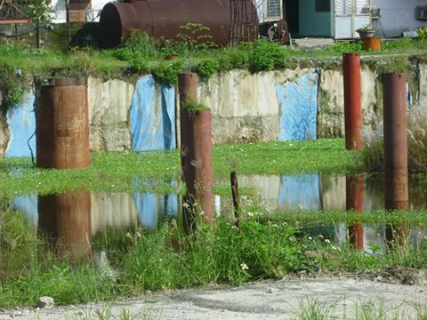 Tuy nhiên, cho đến nay đã 10 năm trôi qua nhưng chủ đầu tư cũng chỉ xây dựng phần cọc lởm chởm đã hoen gỉ cùng một số thiết bị, vật tư hư hỏng, chỉ còn giá trị... sắt vụn. Trên mặt bằng khu đất dự án tạo thành hồ nước với cỏ lác mọc um tùm gây ô nhiễm môi trường nghiêm trọng. Ảnh: Infonet.