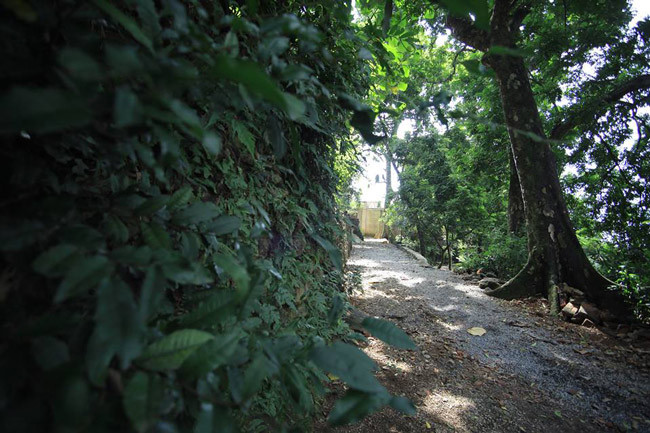 Theo anh Thứ, con trai cụ Do, có nhiều người đánh tiếng hỏi mua căn nhà nhưng gia đình không bán. “Nhà các cụ dựng lên để ở, có những người trả cả chục tỷ đồng nhưng tôi vẫn khước từ”, anh Thứ cho hay.