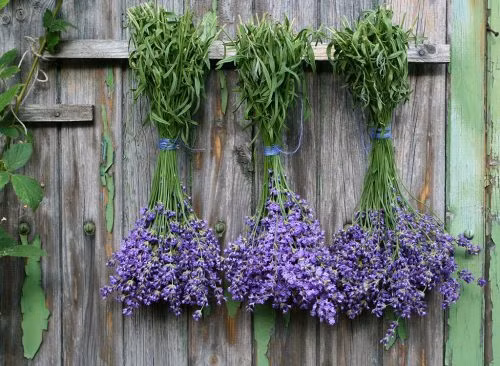 2. Hoa: Có thể các món ăn của bạn sẽ có thêm nhiều hương vị hoa thơm ngon hơn vào năm 2018. Whole Foods dự đoán rằng hoa oải hương, hoa hồng và đặc biệt là hoa hồi sẽ trở thành những thực phẩm được ưa chuộng trong năm tới. Ảnh: Eatthis.