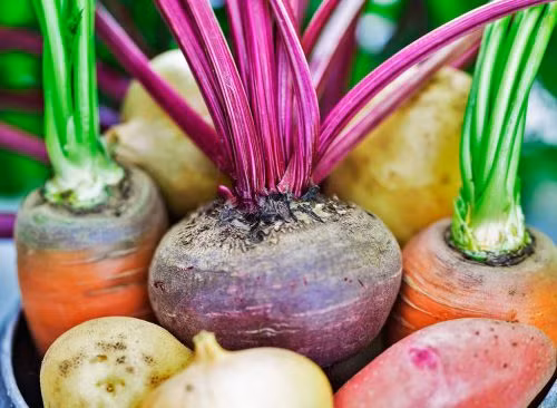 5. Ăn cả thân rau củ: Nếu bạn là một người thường chặt thân cây bông cải xanh và vỏ dưa hấu trong thùng rác, thì sắp tới hãy thay đổi thói quen này để bắt kịp xu hướng thực phẩm 2018. Trong năm tới, các đầu bếp sẽ sáng tạo các món ăn từ thân rau củ và cắt giảm chất thải thực phẩm trong quá trình chế biến. Ảnh: Eatthis.