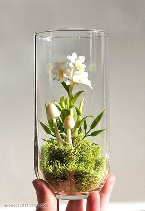 Đây là một trong những loại cây cảnh chơi Tết độc đáo nhất trong dịp Tết Nguyên đán năm nay. Ảnh: flickr.com.