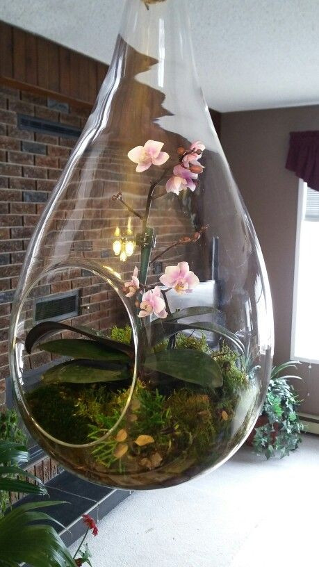 Hoặc sáng tạo với chiếc bình khoét lỗ. Ảnh: Falk Machnitzky.