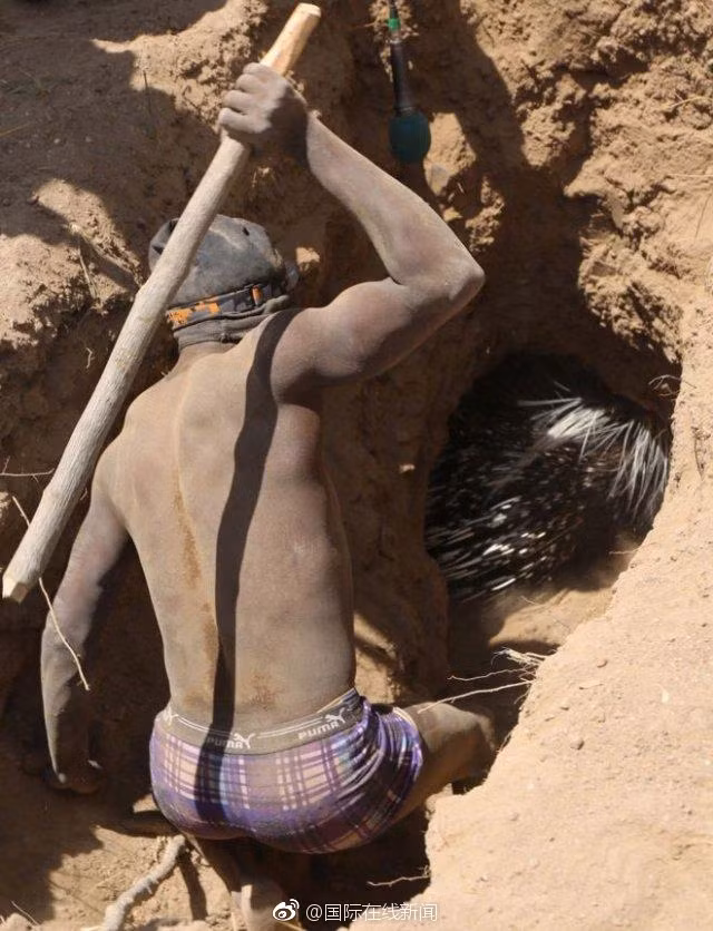 Chính phủ Tanzanie đã cố gắng tìm cách bảo tồn bộ tộc đặc biệt này trước nguy cơ tuyệt chủng bằng cách truyền bá cuộc sống văn minh. Tuy nhiên, mọi nỗ lực đều không thành công. (Nguồn Sina)