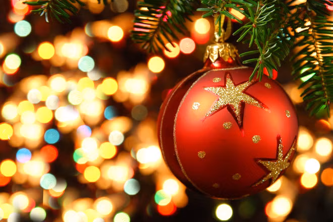 Bạn cũng không nên mua đồ trang trí Giáng sinh trong ngày Black Friday. Nếu muốn mua đồ trang trí Giáng sinh độc và lạ của Mỹ giảm giá online, nên mua trước dịp lễ Giáng sinh khoảng 1 - 2 tuần. Ảnh: Rakem.