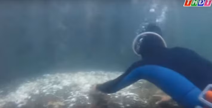 Để hạn chế các yếu tố gây bệnh cho tôm, hàng ngày ngư dân phải lặn xuống các lồng nuôi vệ sinh sạch sẽ. Ảnh: THDT.