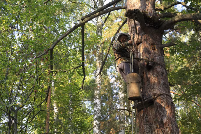 Mật ong Bashkir đến từ nước Nga được lựa chọn vào thực đơn của các phi hành gia cũng như các nhà du hành vũ trụ quốc tế. Ảnh: NatuReplica.\