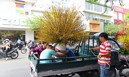 Một bó to như thế này có giá từ 1 - 1,5 triệu đồng. Ảnh: 38 Degree Flowers.