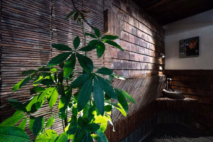 Nội thất mộc mạc, cây xanh mang đến vẻ đẹp gần gũi và thân thuộc. Nguồn ảnh: Quang Trần.