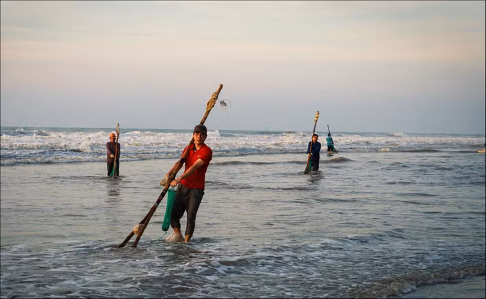 Công việc cào nghêu chỉ dành cho những người ngư dân khỏe mạnh. Ảnh: Nguyễn Văn Thảnh.