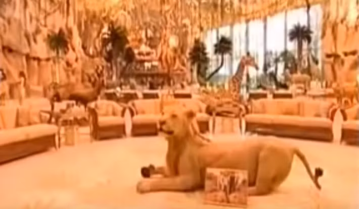 Bên trong lâu đài, Hoàng tử Ả rập trang trí nhiều thú dữ, đậm chất ngông. Ảnh: Youtube.