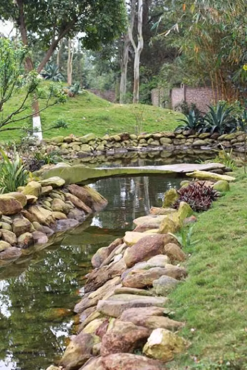Hồ cá mộng mơ trong một góc vườn. Ảnh: Người đưa tin.