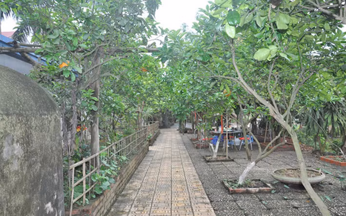 Không gian rộng rãi ở khu nhà vườn của Giang Còi.