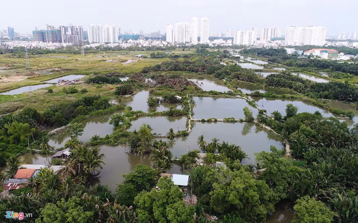 Một phần diện tích khá lớn nằm gần đường Đào Sư Tích lâu nay người dân nuôi trồng thủy sản.