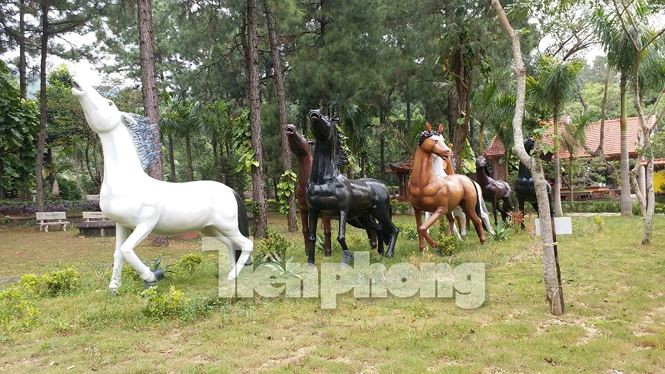 Chủ nhân "biệt phủ" dựng một đoàn ngựa đá với kích thước "khủng" ngay trong vườn nhà.