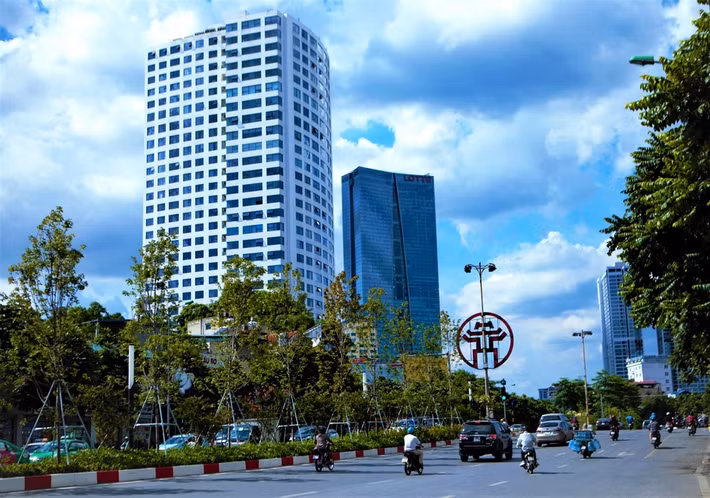 Giữa tháng 1/2018, hàng trăm cây phong được trồng tại dải phân cách trên phố Trần Duy Hưng và Nguyễn Chí Thanh. Từ những thân cây từng được nhiều người ví như ''cành củi khô'' đã mọc ra chồi non, rồi um tùm màu lá xanh, tràn đầy sức sống. 