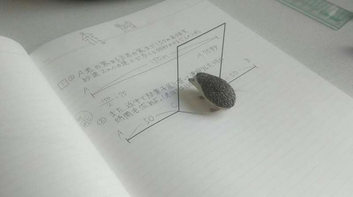 Nhìn vào bức tranh 3D này, rất nhiều người bị ảo giác rằng con nhím có thể đi qua cánh cửa không gian được tạo ra chỉ bằng những nét mực cực kỳ đơn giản.