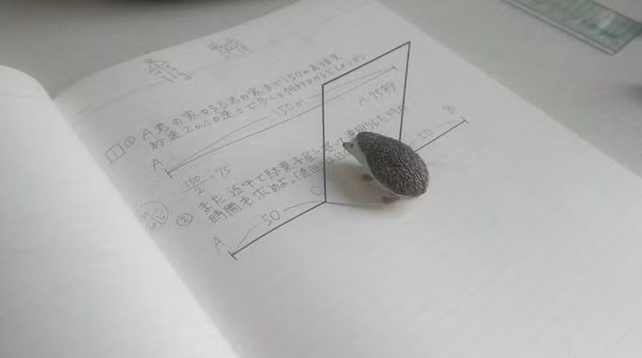 Nhìn vào bức tranh 3D này, rất nhiều người bị ảo giác rằng con nhím có thể đi qua cánh cửa không gian được tạo ra chỉ bằng những nét mực cực kỳ đơn giản.