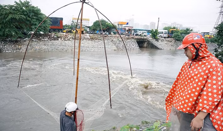Sáng ngày 21/7, bất chấp trời mưa nặng hạt, một số người dân Hà Nội bắt cá một cách hào hứng trên dòng sông Kim Ngưu.