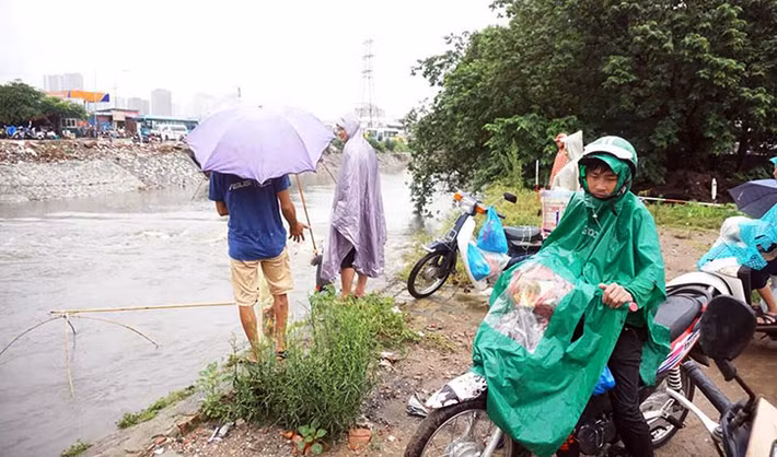 Một số người đi đường hiếu kỳ cũng dừng lại để xem người dân bắt cá.