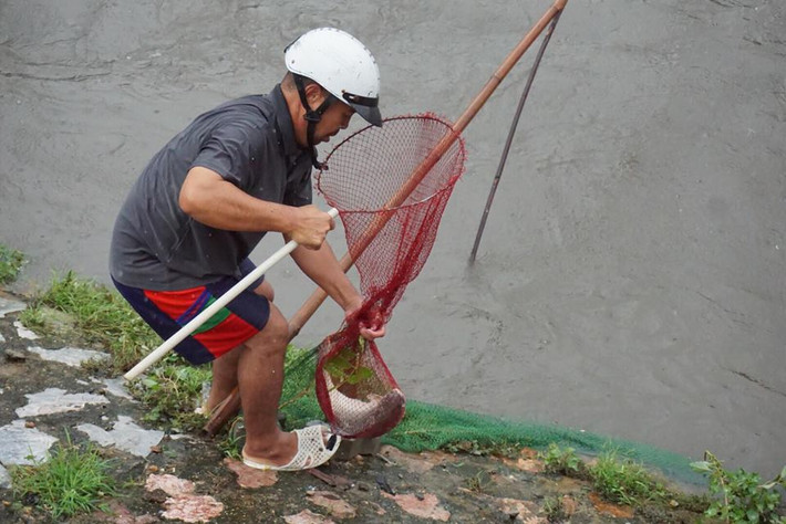 Chỉ bằng những dụng cụ đơn giản người dân vẫn dễ dàng bắt những con cá lớn trên sông Kim Ngưu.