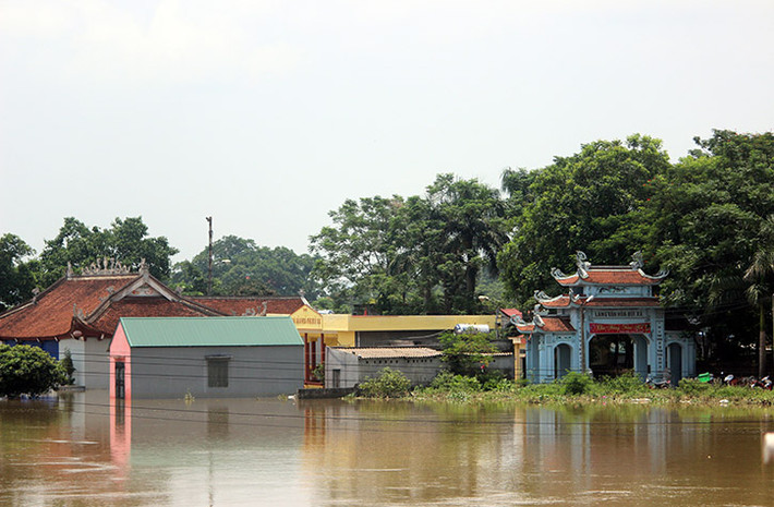 Anh Nguyễn Văn Thắng (người dân Bùi Xá) cho hay: "Các con, cháu tôi phải gửi sang nhà ông bà. Hiện toàn bộ nước sinh hoạt, điện gia đình đã bị cắt. Lợn, gà, chim nuôi phải cho hết lên trên khu vực đất cao, và trên tầng 2 của nhà để tránh chúng bị chết".