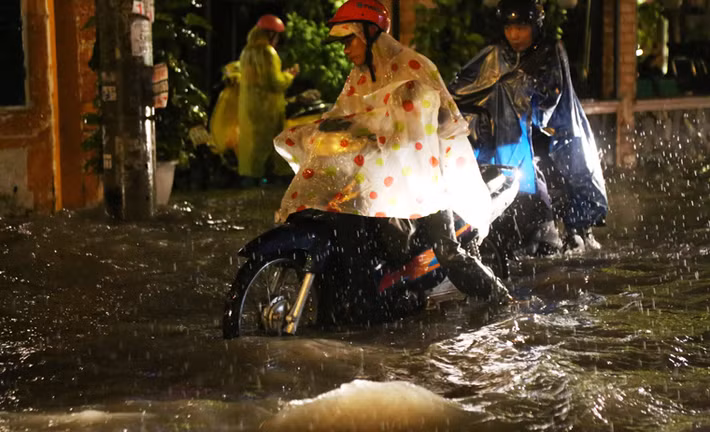 Tìm đường về nhà trong đêm.