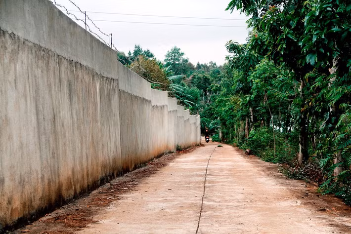 Ngoài ra, gia đình ông Kỷ còn cho xây tường bao kiên cố cao gần 3 m, rào kẽm thép gai và còn mở một con đường bê tông rộng 3 m, dài trên 261 m dẫn vào nhà. 