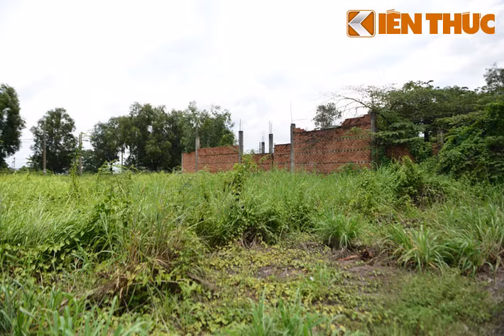 Liên quan đến "quy hoạch Thanh Đa", tại kỳ họp thứ 9, HĐND TP HCM khóa IX mới đây, Chủ tịch TP HCM Nguyễn Thành Phong cho biết Văn phòng UBND TP HCM vừa báo cáo với Thành ủy về việc tìm kiếm nhà đầu tư mới cho dự án Bình Quới - Thanh Đa.