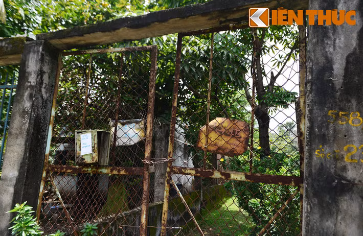 Theo Văn phòng UBND TP HCM, thành phố vừa giao Sở Xây dựng tham mưu, đề xuất việc cấp phép sửa chữa tạm của các hộ dân và gửi Sở Kế hoạch Đầu tư tổng hợp, trình UBND TP HCM ngay trong tháng 7 này.