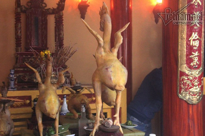 Gà thế Những con gà đã được luộc chín nhưng ở nhiều thế đứng, quỳ, bay… cũng hút khách mua để cúng trong ngày Rằm tháng Bảy. Ảnh: Vietnamnet.