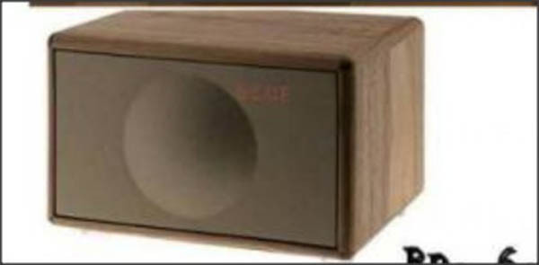 Chiếc loa Thụy Sỹ có giá khoảng 10 triệu đồng.