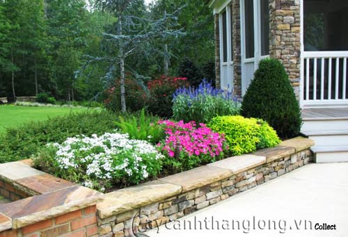 Hình vuông và hình chữ nhật là hai kiểu thiết kế bồn hoa phổ biến nhất hiện nay bởi loại bồn này đơn giản và dễ thi công. Ảnh: Caycanhthanglong.