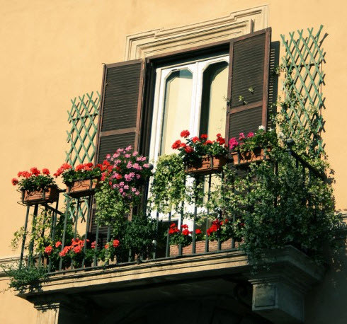 Lan can với họa tiết cầu kỳ, được trang trí với những chậu hoa rực rỡ thu hút mọi ánh nhìn. Ảnh: nhadepso.