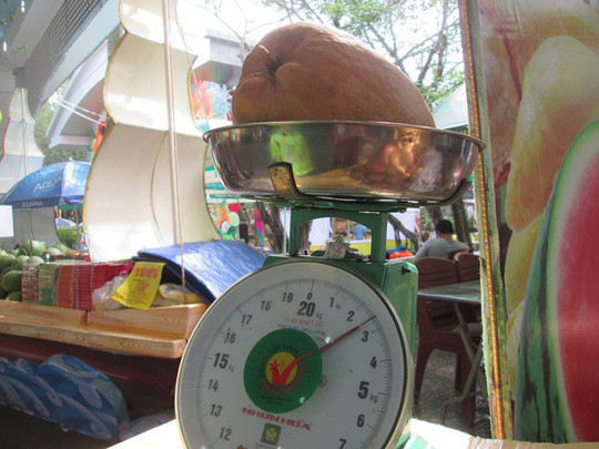 Chị em cũng đua nhau mua những trái xoài to đùng, nặng tới gần 3kg/quả với giá 50.000 đồng/kg. Ảnh: Người lao động.