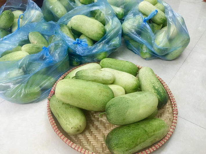 Loại dưa chuột Mèo nặng “khủng” có quả lên tới 2kg, ăn giòn tan, ngọt mát, là đặc sản Tây Bắc đang rất hút khách Hà thành. Ảnh: VietQ.