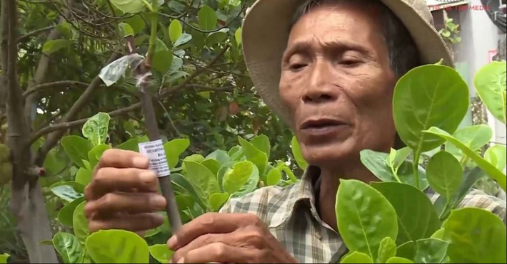 Nhờ bán mít trái và cây giống, ông Út Mẫn thu được trên 1 tỷ đồng mỗi năm. Ảnh: Blogspot.