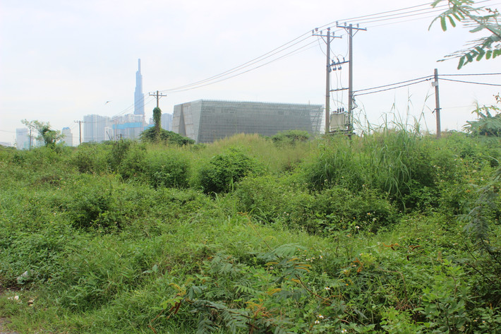 Tuy nhiên, khu đất dự định xây nhà hát 1.500 tỷ hiện vẫn đang là 1 bãi đất trống với cỏ mọc hoang dại.