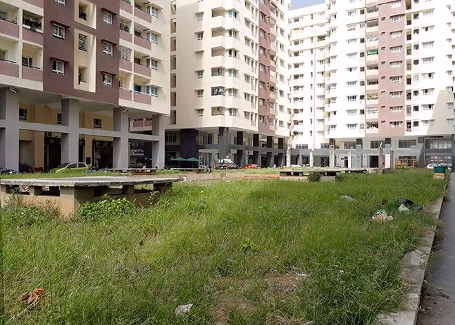 Cũng theo Đầu tư chứng khoán, những khu đất được cho là khu tiện ích này cỏ dại mọc um tùm, trở thành ao tù nước đọng mỗi khi trời mưa. Ngoài ra, khu đất này cũng trở thành nơi tập kết rác thải nên có mùi hôi nồng nặc. Ảnh: Reatimes.