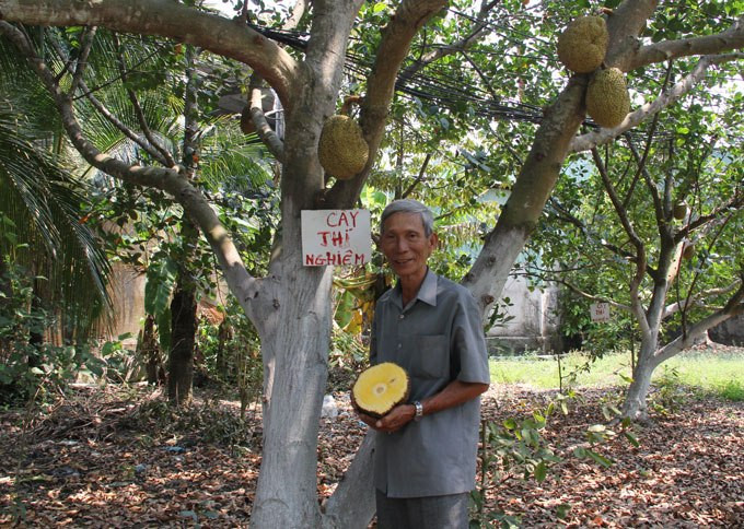 Có năm, ông đã bán được khoảng 35.000 cây giống. Ảnh: Wp.