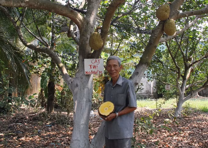 Có năm, ông đã bán được khoảng 35.000 cây giống. Ảnh: Wp.