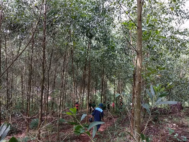 Chia sẻ với PLO, ông Nguyễn Văn Lan (48 tuổi, trú làng Dừa) và nhiều người dân nơi đây cho biết thấy máy bay bay trên trời có khói đen từ phía sau rồi nghe tiếng nổ lớn. Khi nghe tiếng nổ người dân nghĩ rằng có lẽ máy bay diễn tập ném bom nhưng sau đó phát hiện khói, lửa bốc lên từ vách núi nên mới biết máy bay rơi. Nguồn ảnh: Báo Giao Thông