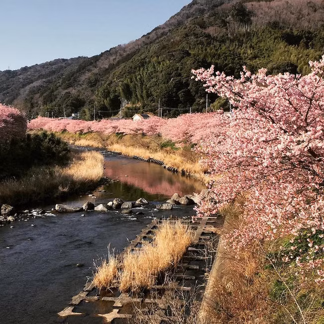 Cảnh đẹp hơn tranh là có thật đấy!